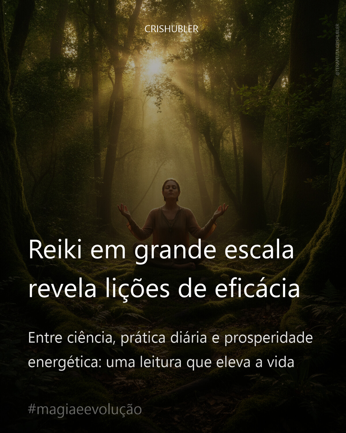 Reiki em grande escala revela lições de eficácia
