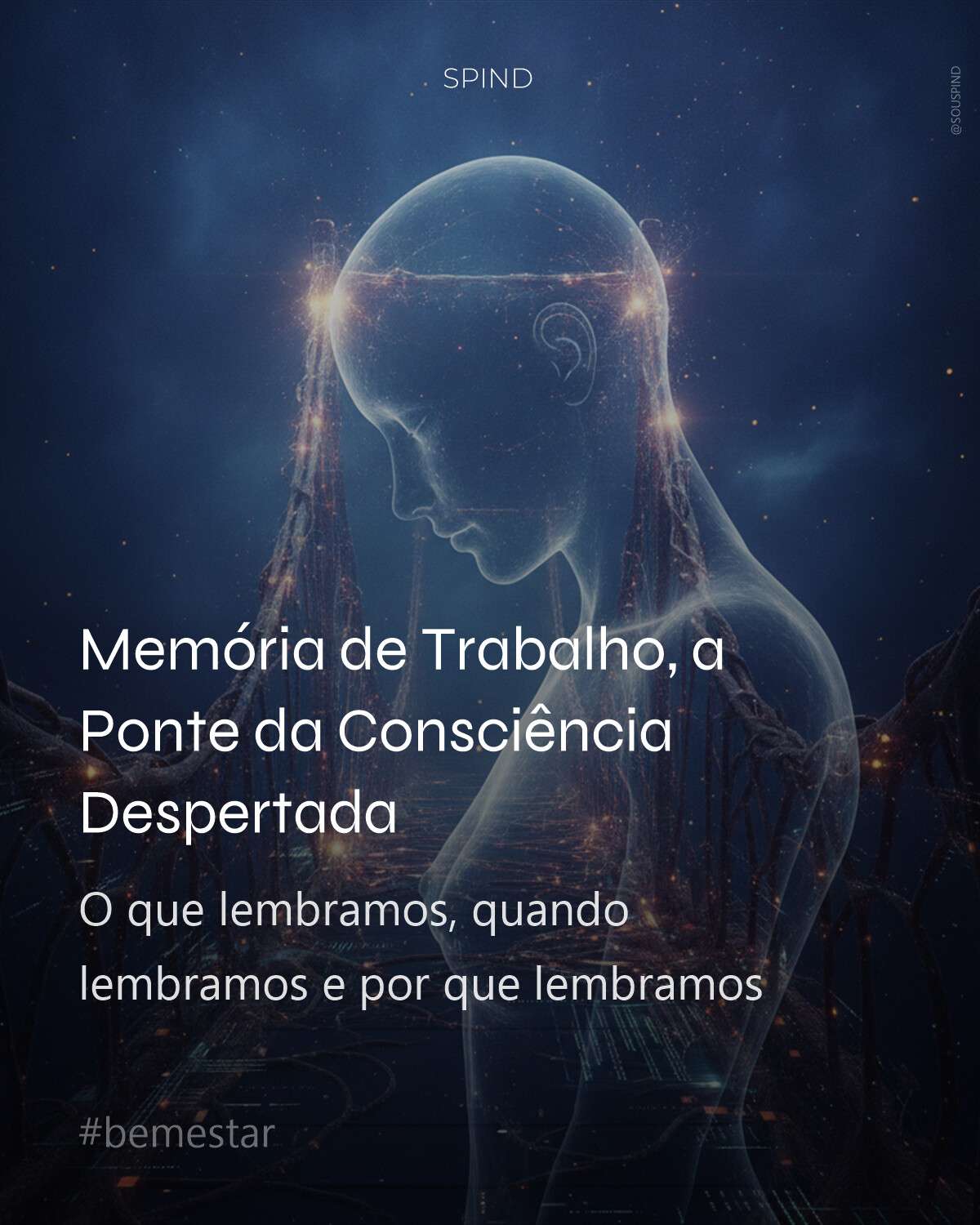 Memória de Trabalho, a Ponte da Consciência Despertada